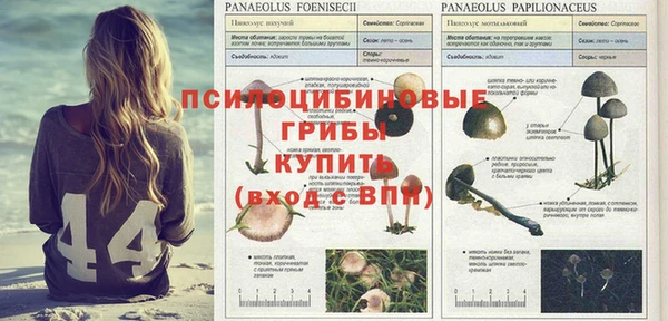 метамфетамин Алексеевка