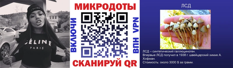 Галлюциногенные грибы мухоморы кракен ТОР Болотное
